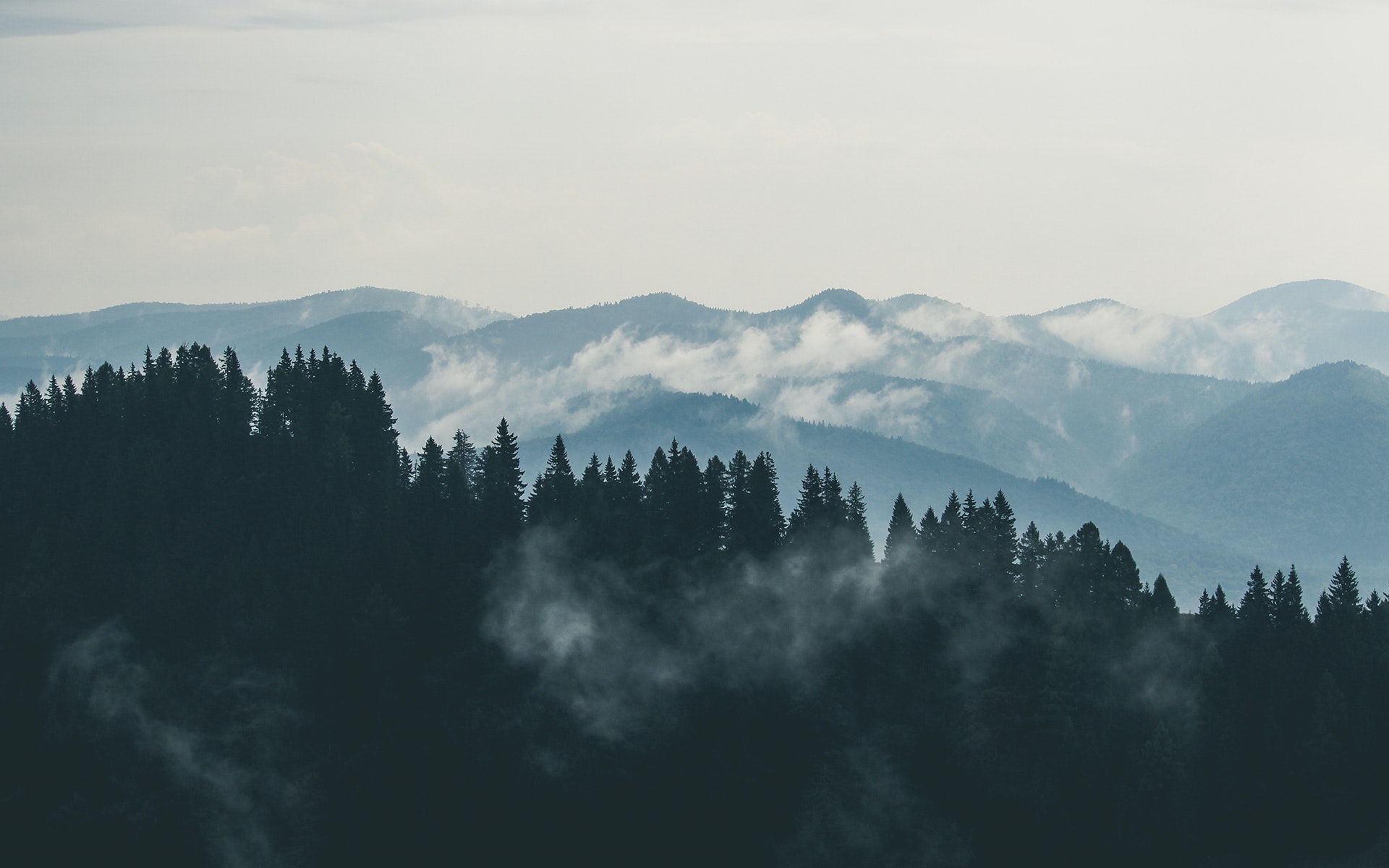 pexels-creative-vix-9754